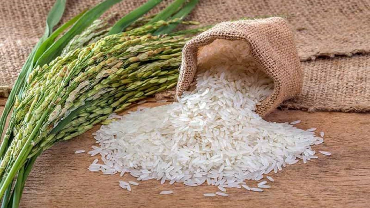 خبرها و دانستنی های روزنامه خوشقدم